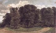 John glover The copse painting